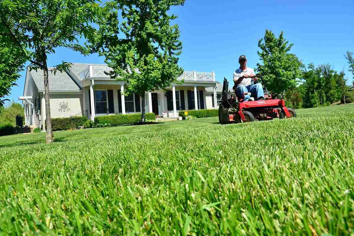 lawn-care-grass-mower
